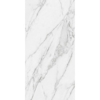 A134789 articul-A134789