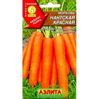 A155919 articul-A155919