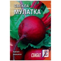 A161662 articul-A161662