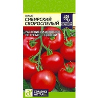 A174062 articul-A174062