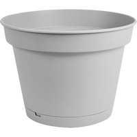 articul-A215812