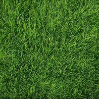 A219408 articul-A219408