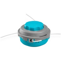 articul-A296171