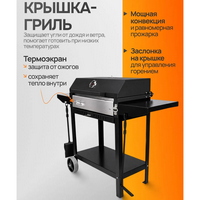 A335854 articul-A335854