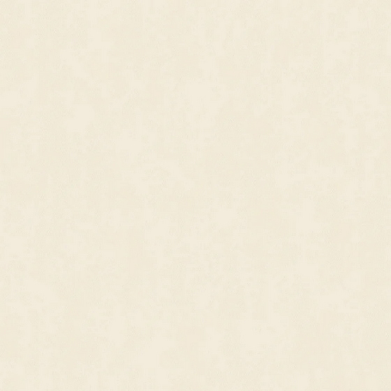articul-A351250